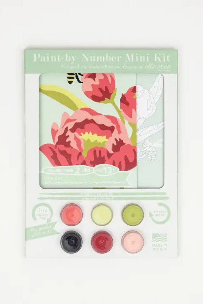 Paint-by-Number Kit - Mini - Hibiscus