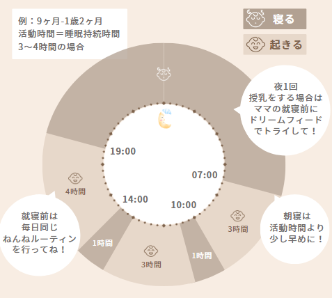 9ヶ月～1歳2ヶ月の赤ちゃんの活動サイクル