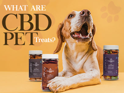 what are cbd pet treats