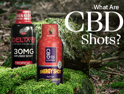 what are cbd shots