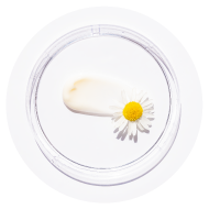 A dollop of cream beside a daisy in a clear dish.
