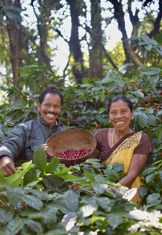 Signature Coffee Farmers | ARAKU Coffee