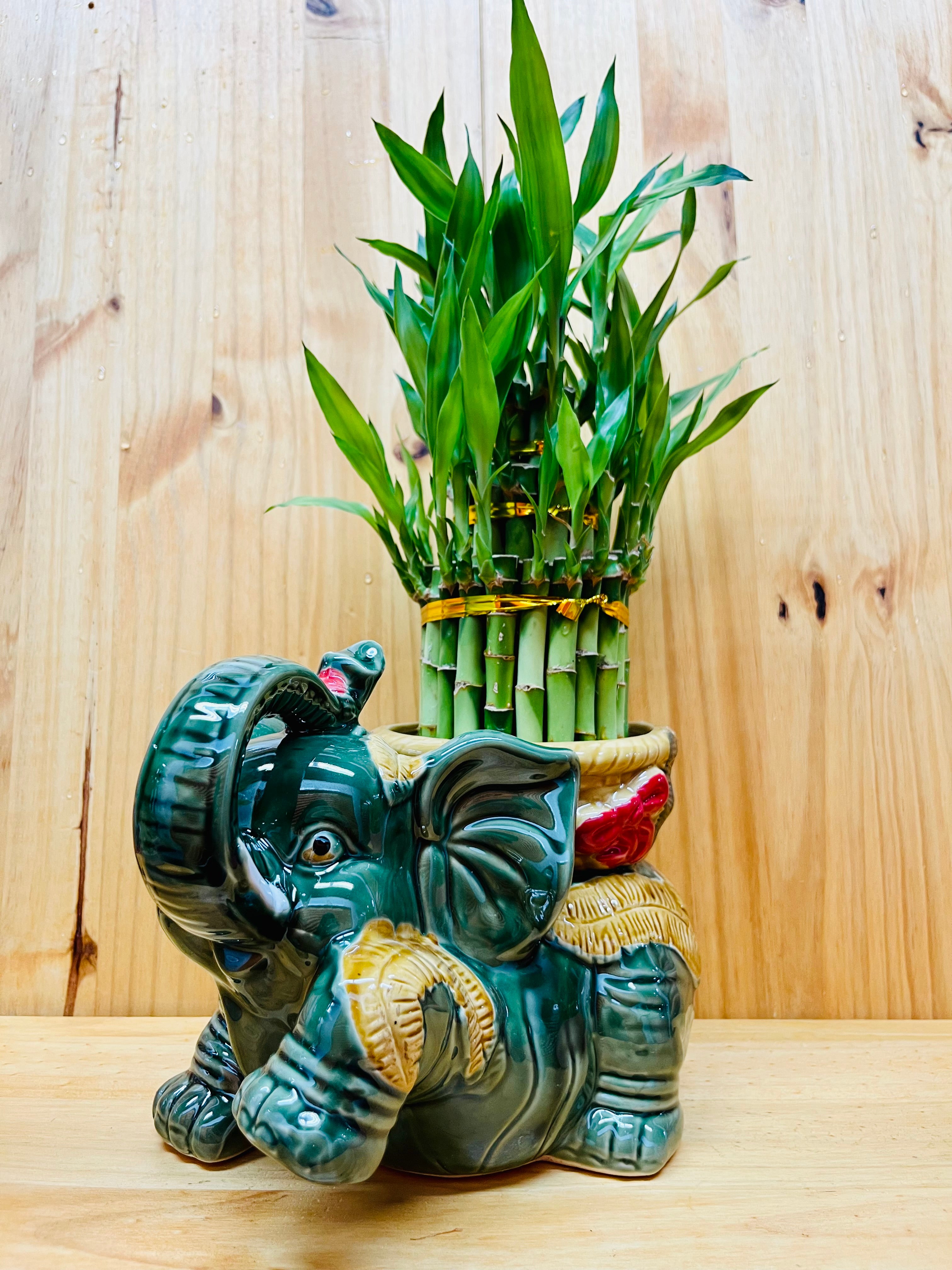 Jumbo Ceramic Lucky Bamboo Elephant