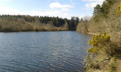 Devon reservoir picnic spot