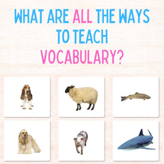 all the ways to teach vocabulary in Montessori