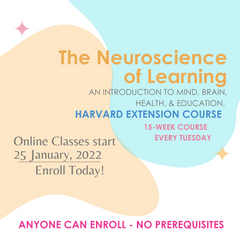 Neuroscience of Learning Harvard Course