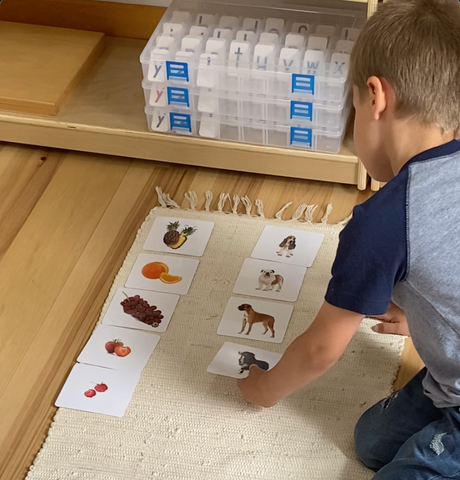 sorting montessori vocabulary cards