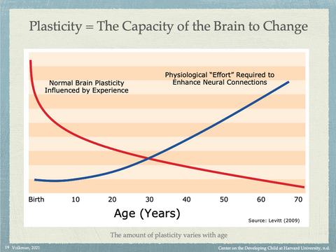 Plasticity