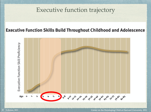 Executive function trajectory