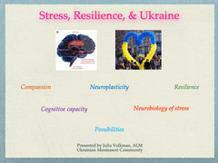 stress, resilience, and ukraine