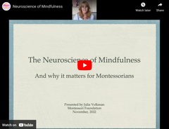 neuroscience of mindfulness youtube video