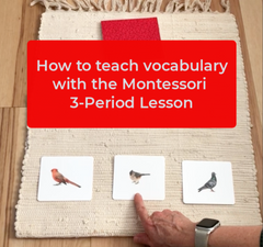 how to teach vocabulary with the montessori 3-period lesson