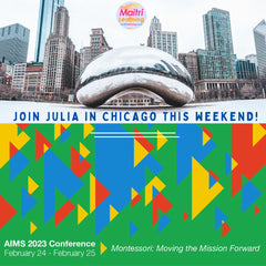 AIMS chicago conference