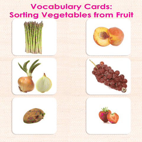 Fruit and vegetables Montessori vocabulary card sorting