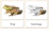 animal classification dogs bullfrog bookz