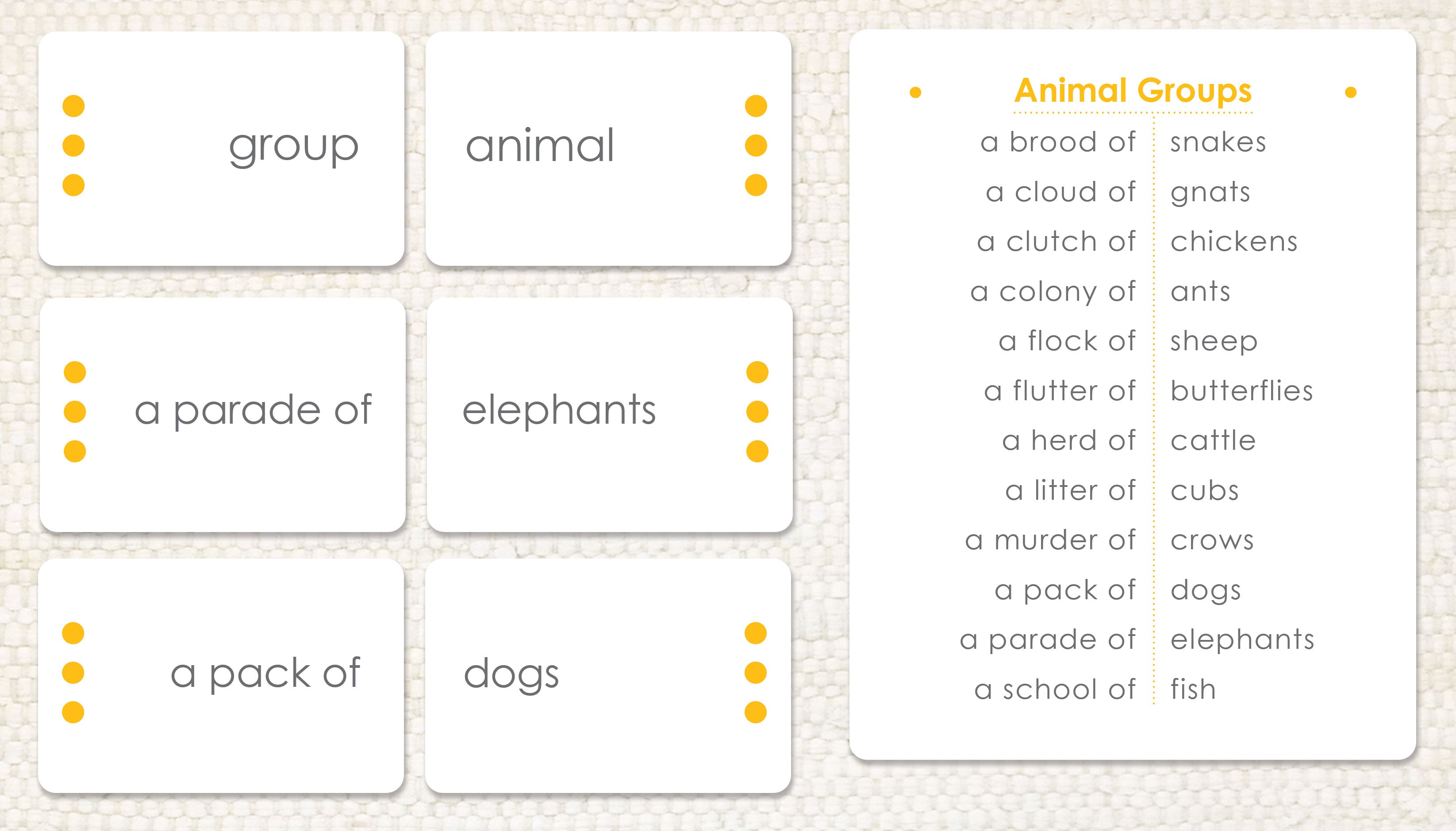 Animal Groups Montessori Related Noun Word Study Maitri Learning