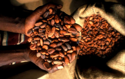 Ghanaian cocoa beans 