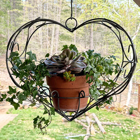 Heart Shaped Planter