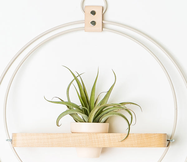 wall mounted plant shelf with air plant and blush pot against white wall