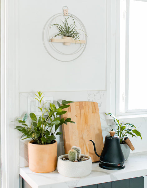 braid & wood plant shelf styled in kitchen with air plant