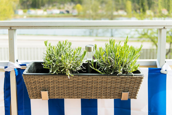 green herbs in a brown rectangular hanging basket