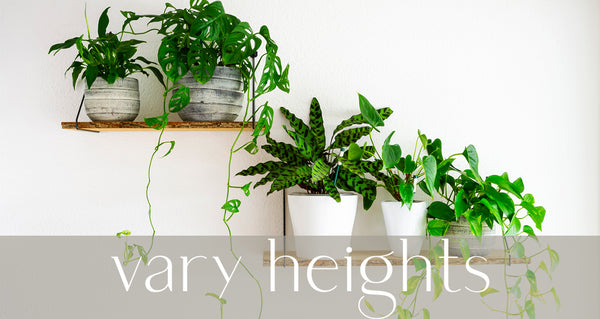 potted houseplants on floating shelves against white wall