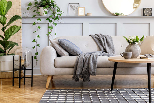 neutral and modern living room with houseplants