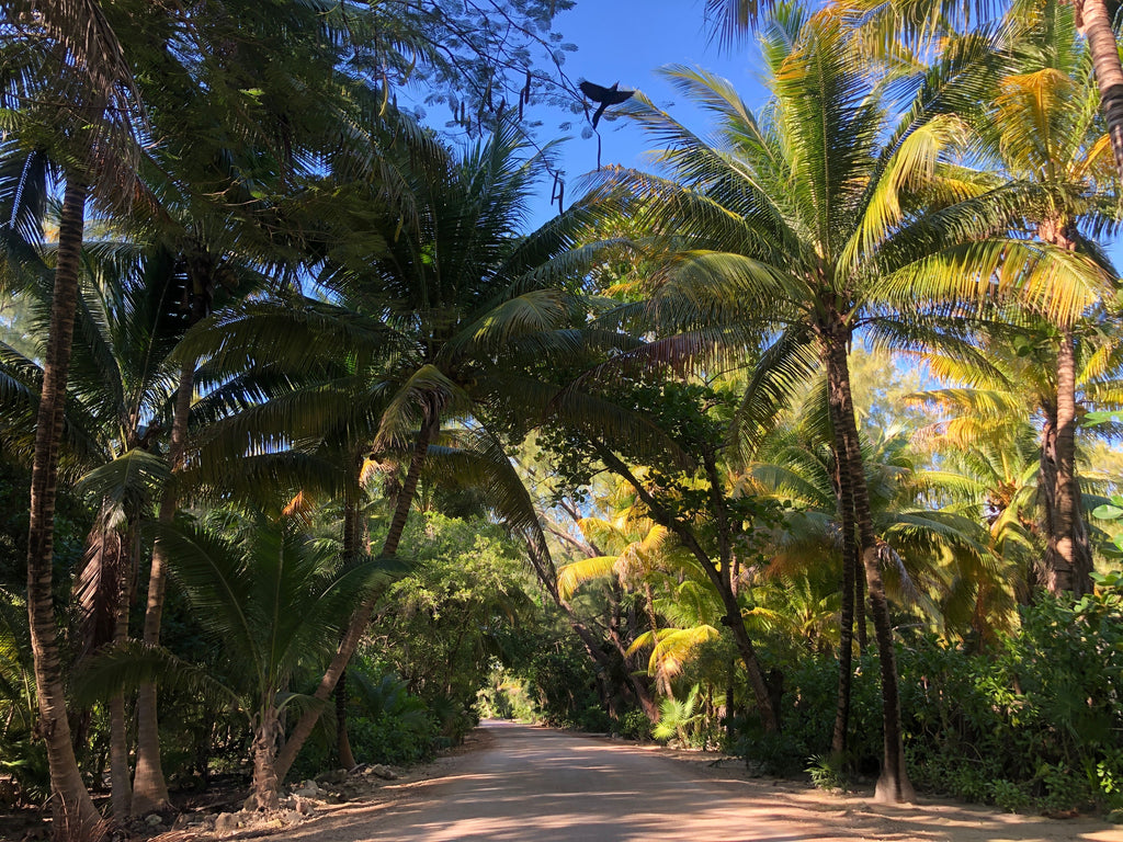 TULUM BUCKET LIST