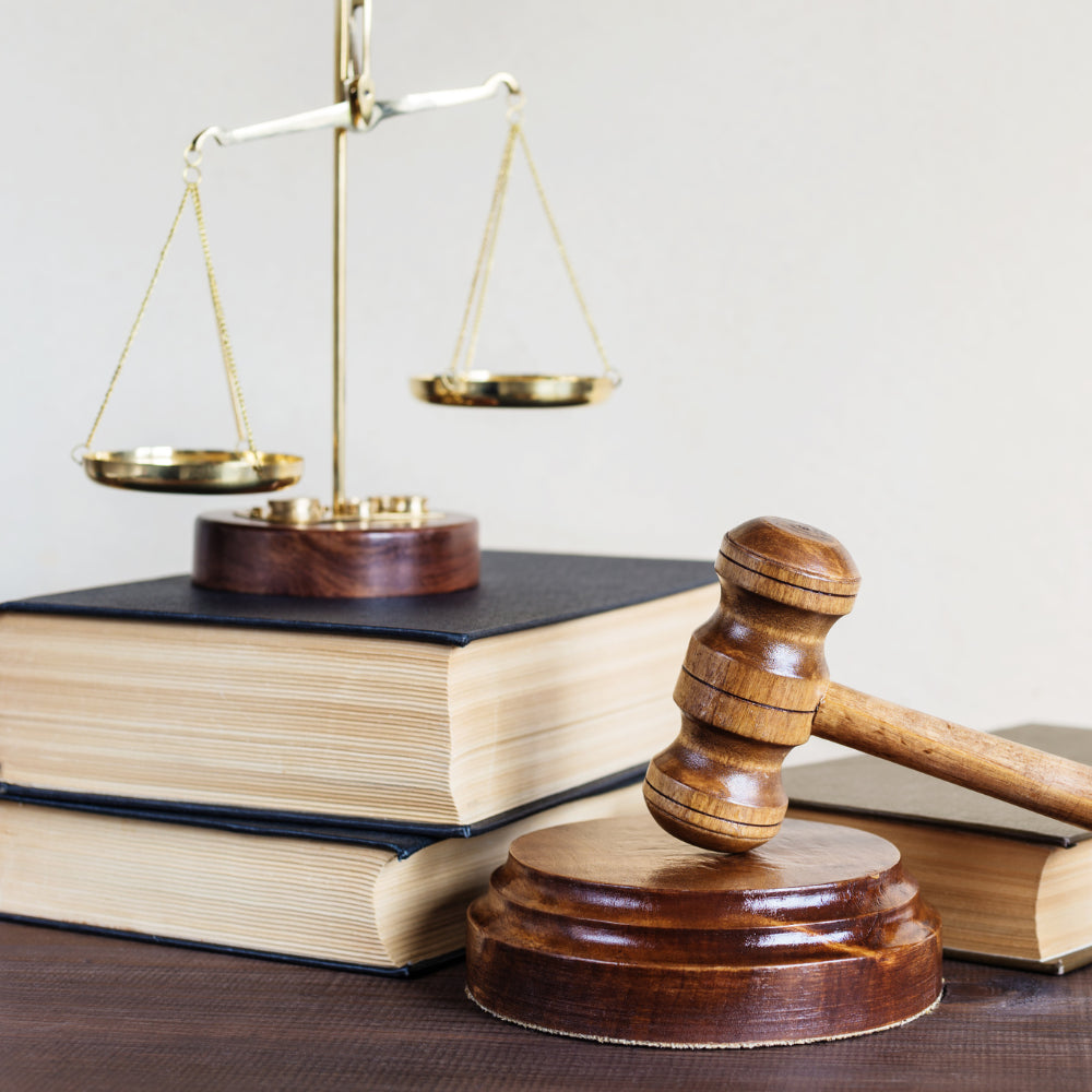 Privater Rechtsschutz