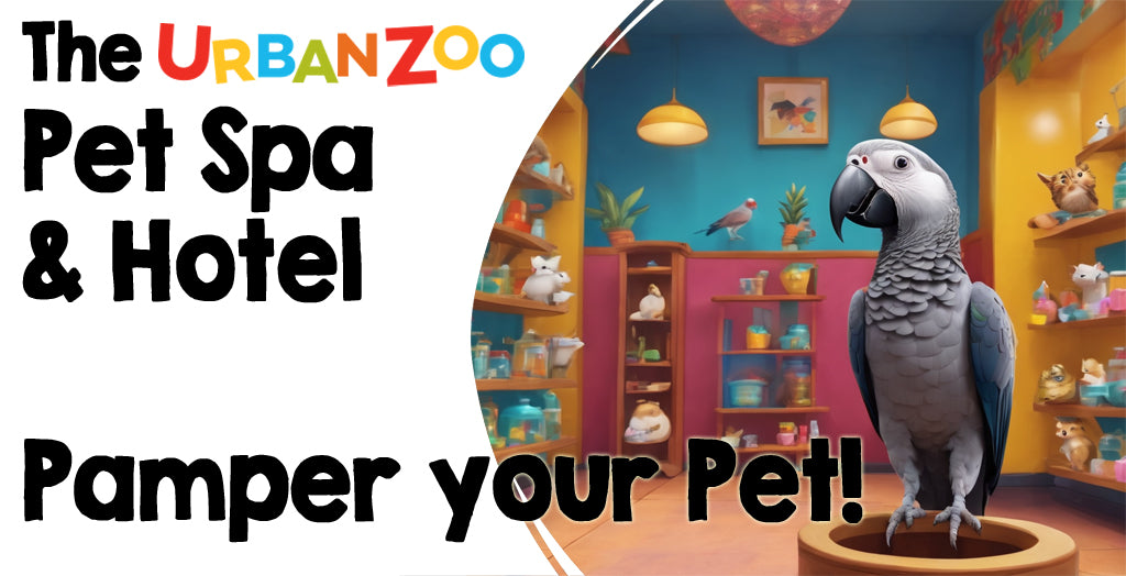 The Urban Zoo Pet Spa & Hotel