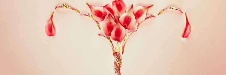 Uterus and ovaries made with pink flower petals, pink background