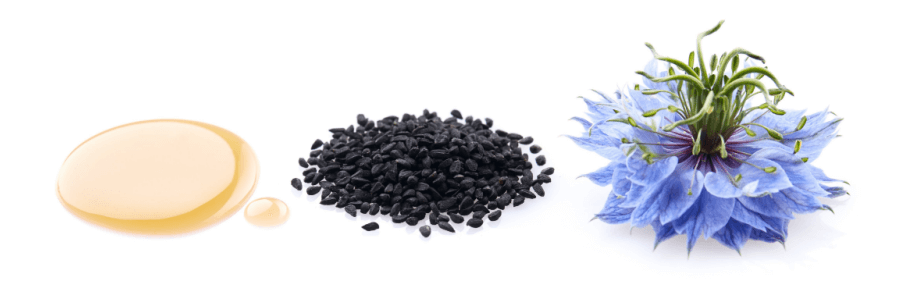 black seed oil, black seeds, and blue nigella sativa flower on white background