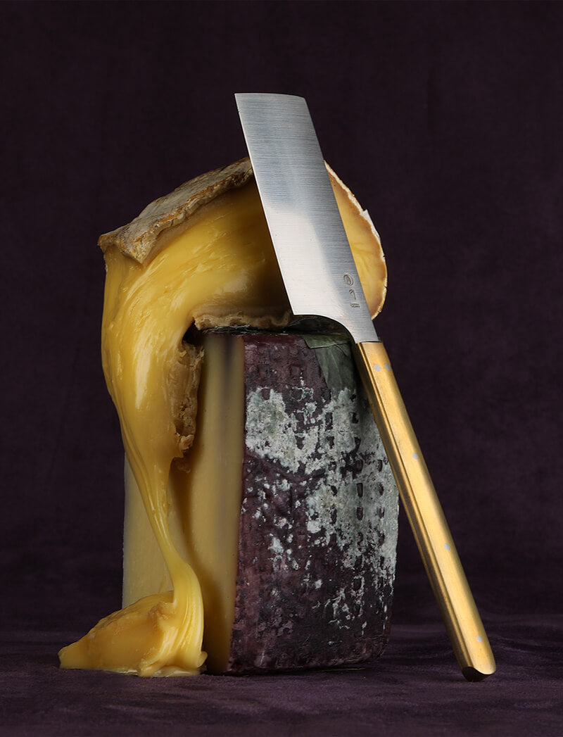 Azmaya Brass & Steel Cheese Knife