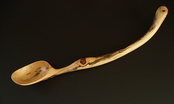 Enchanted wooden spoon by Terry Widner