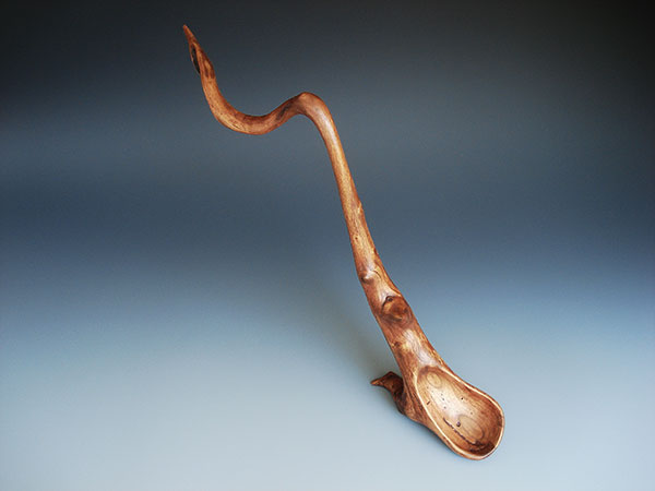 Terry Widner Wizard's Spoon