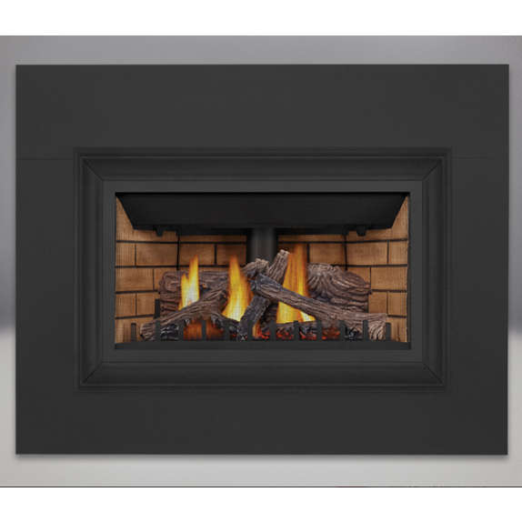 46 Direct Vent Gas Fireplace, 40,000 BTU, Remote, Blower, Lights, Free  Shipping