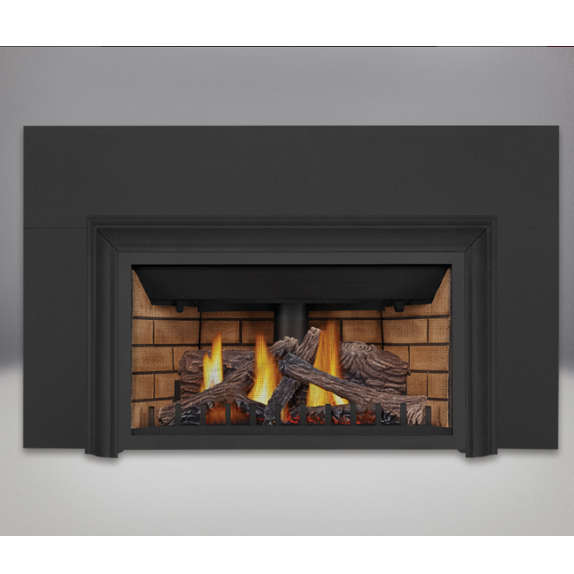 46 Direct Vent Gas Fireplace, 40,000 BTU, Remote, Blower, Lights, Free  Shipping