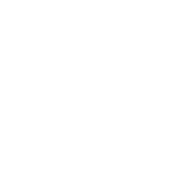 100_days_5