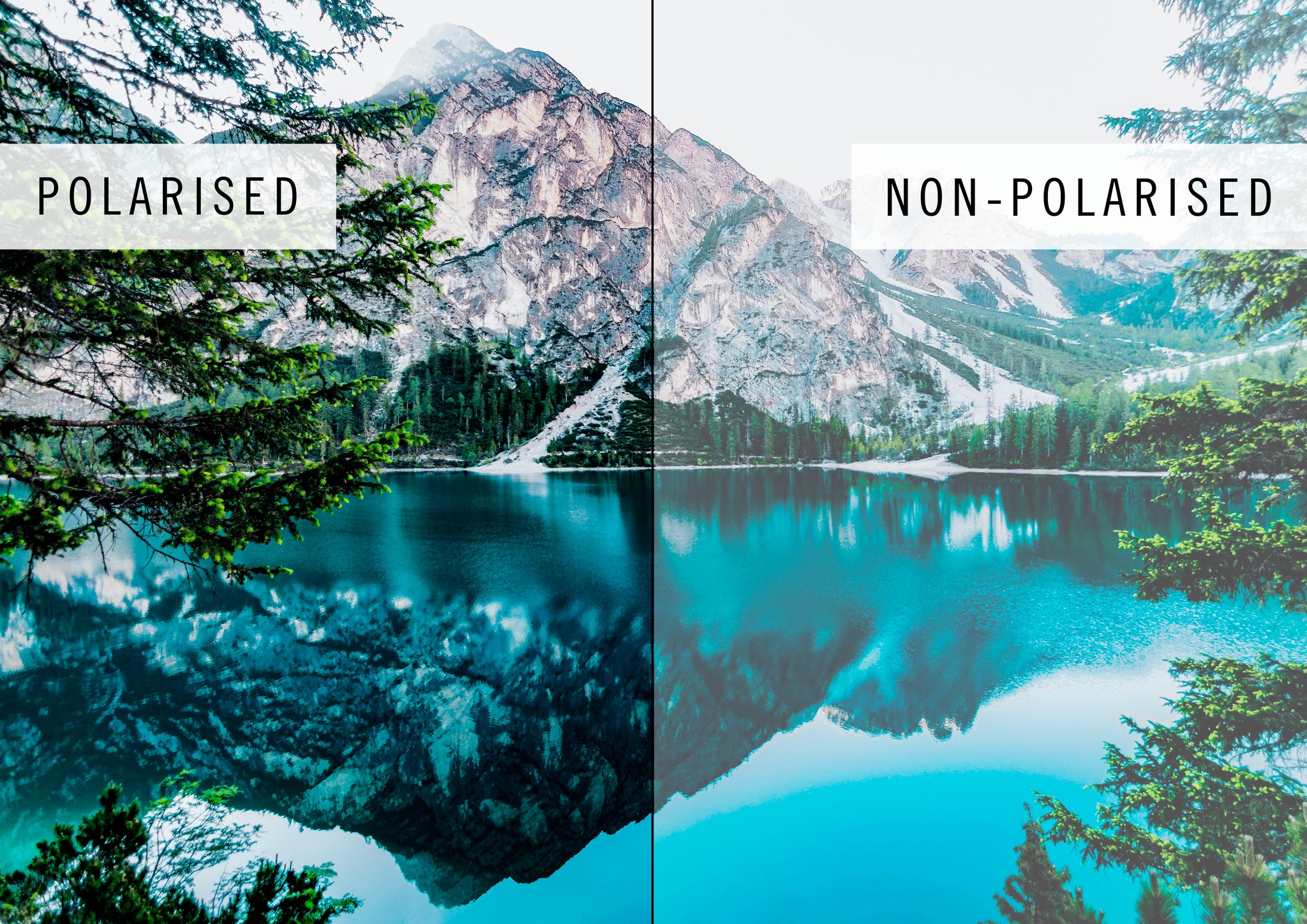 Pacifico Optical polarised vs non-polarised comparison