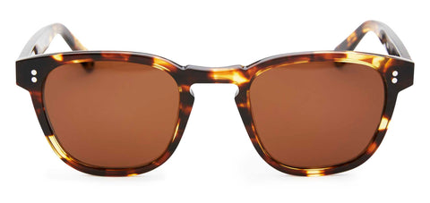 Pacifico Optical Yacht Master Cola with Polarised Brown Lens