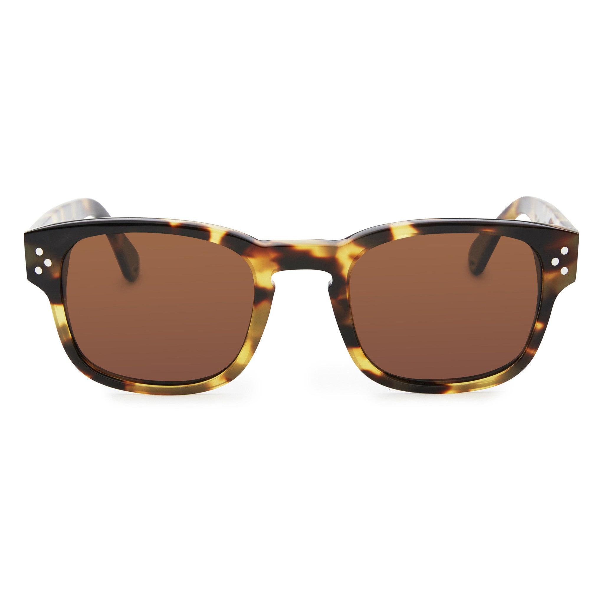 Pacifico Optical Ashley - Honey Tortoise with Polarised Brown Lens