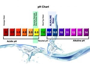 pH Chart