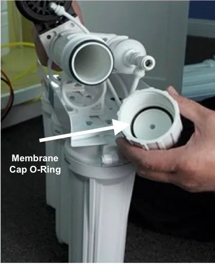 membrane o-ring