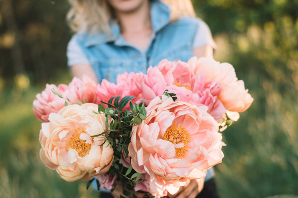 fresh flowers