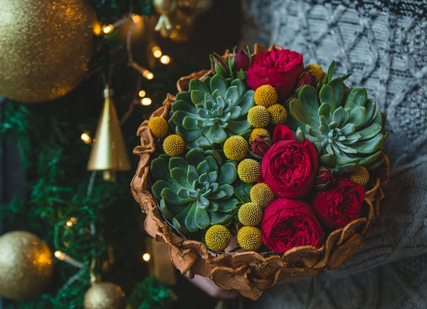 christmas bouquet with succulents
