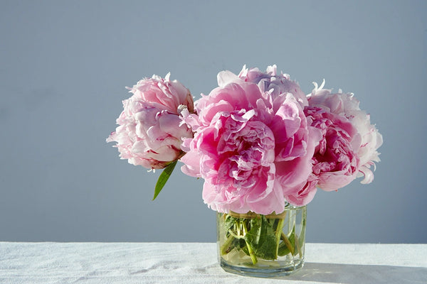 peony bouquet in clear vase