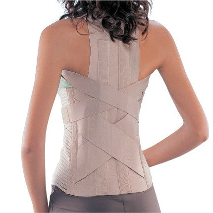 SEIPOL  ARNES CON FAJA LUMBAR PROTECTA 1191307