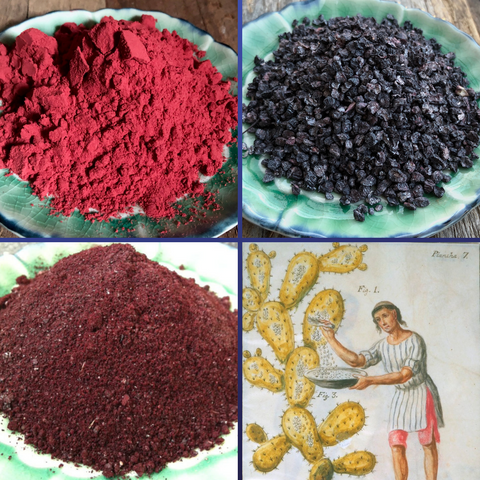 Cochineal Extract and Bugs