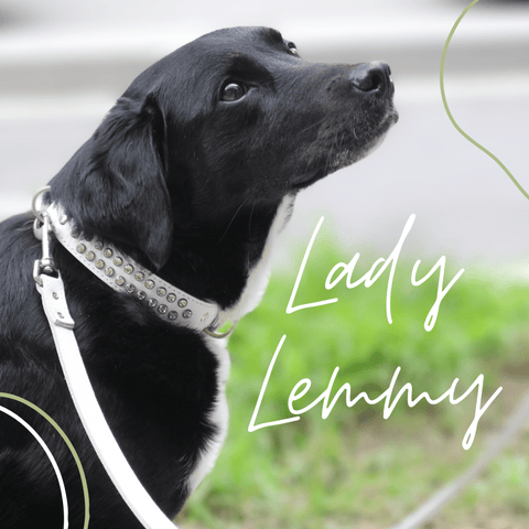 Lady Lemmy