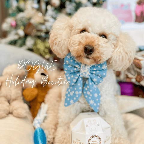 holiday dog gift guide | dog sailor bow